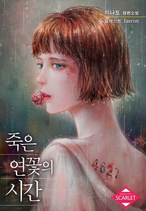 죽은 연꽃의 시간